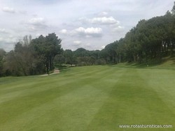 Club de Golf Lomas-bosque