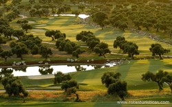 Arcos Gardens Golf Club And Country Estate