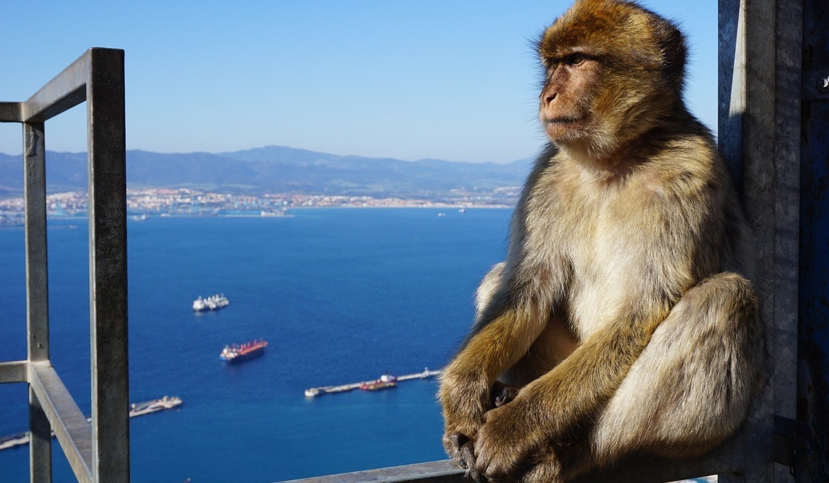 1 day trip to Gibraltar with departure from Faro